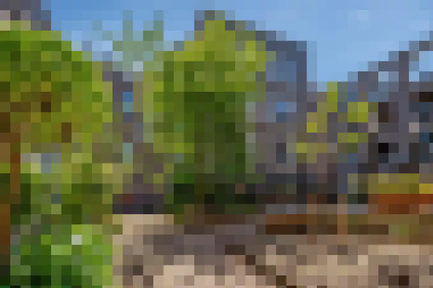 Nieuwelaan 148 Delft thumbnail 7