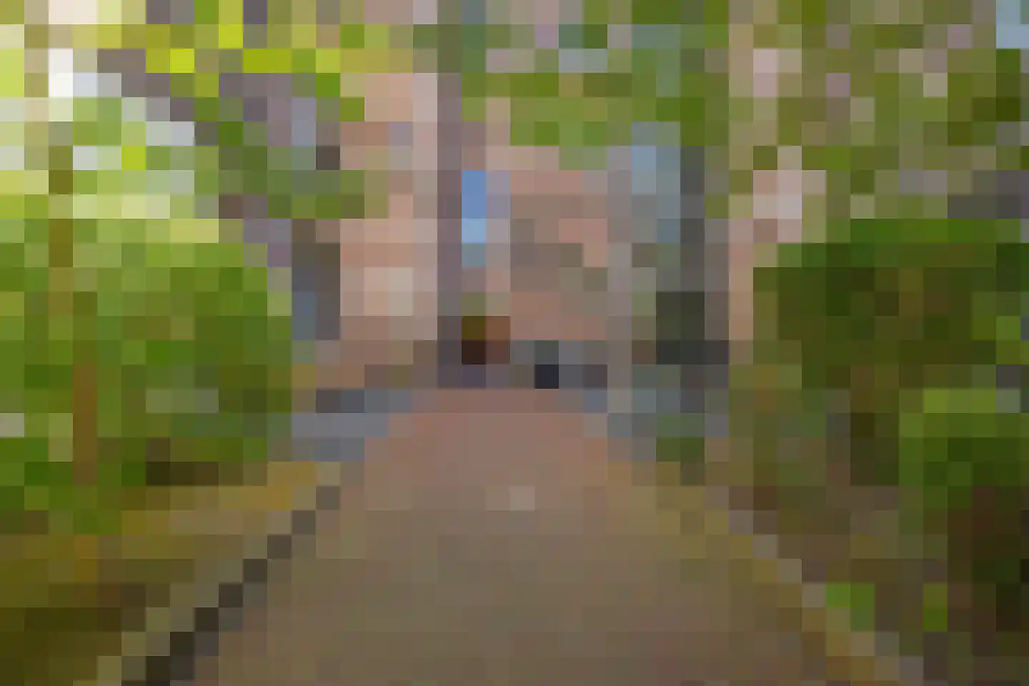 Nieuwelaan 164 Delft thumbnail 24