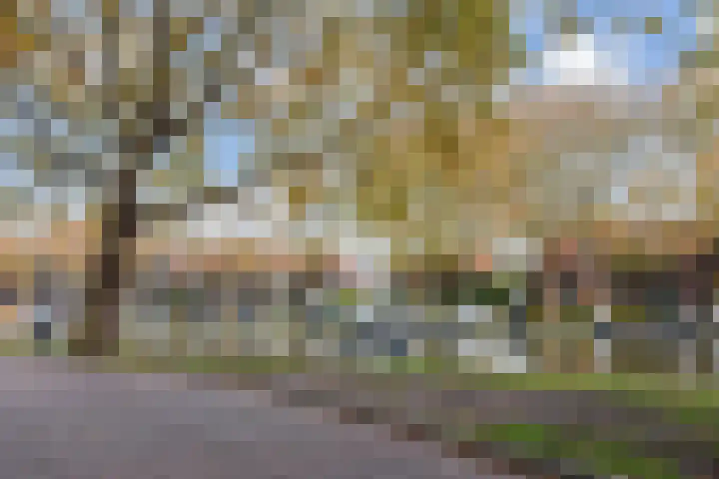 Nieuwelaan 170 Delft thumbnail 36