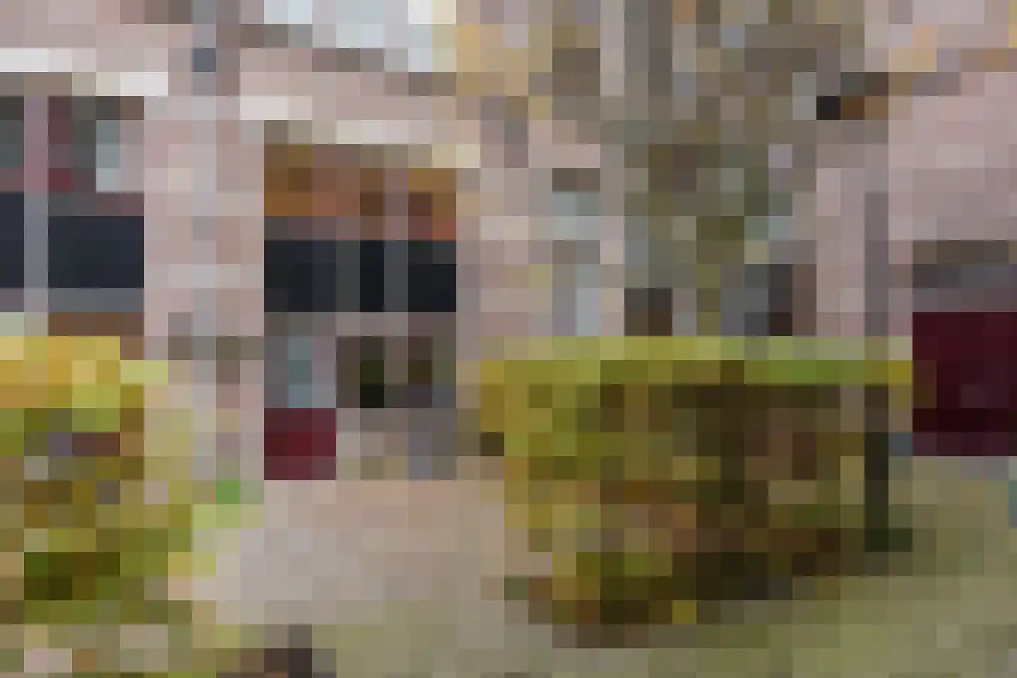 Nieuwelaan 170 Delft thumbnail 5