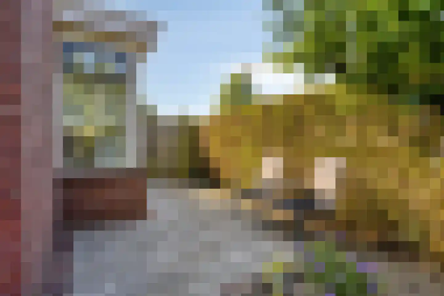 Nieuwelaan 22 Made thumbnail 28