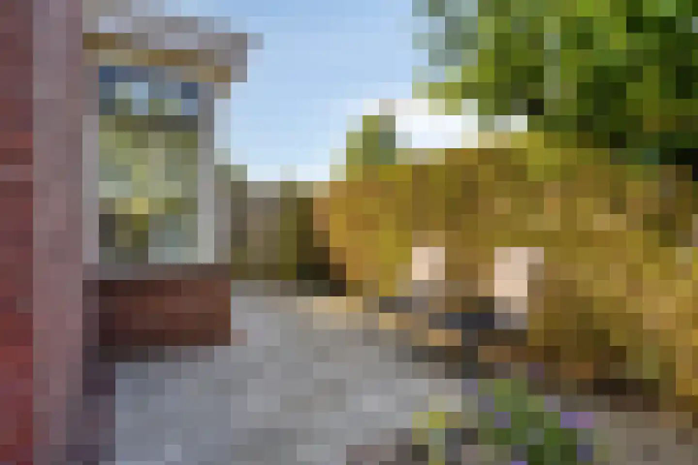 Nieuwelaan 22 Made thumbnail 5