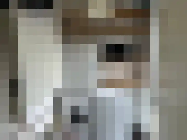 Nieuwelaan 64 Delft thumbnail 13