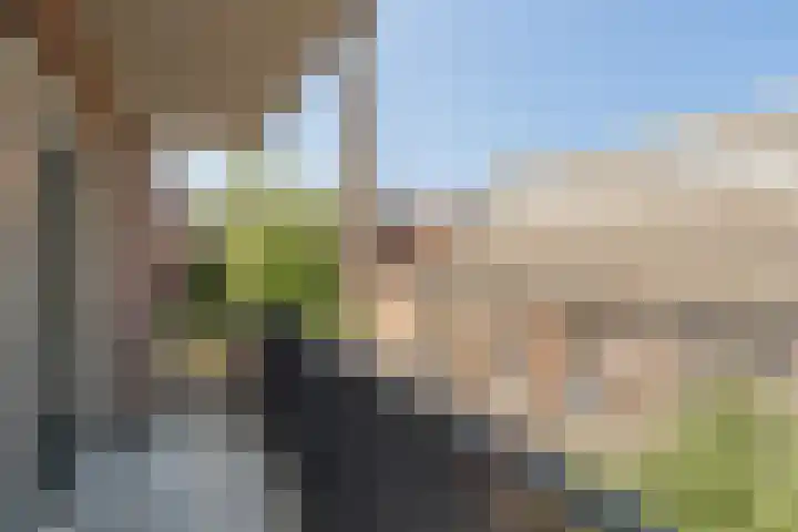 Nieuwelaan 64 Delft thumbnail 14