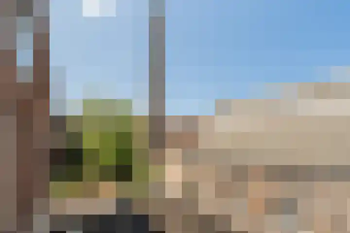 Nieuwelaan 64 Delft thumbnail 15