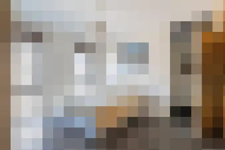 Nieuwelaan 64 Delft thumbnail 17