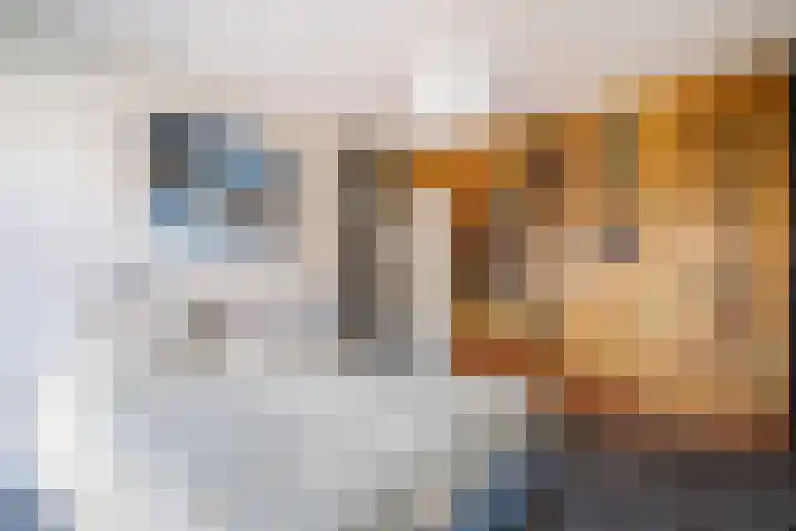Nieuwelaan 64 Delft thumbnail 18