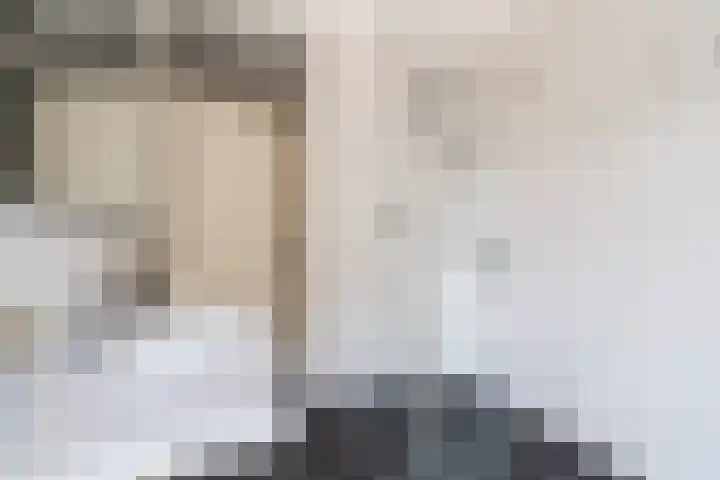 Nieuwelaan 64 Delft thumbnail 20
