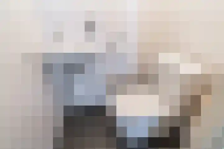Nieuwelaan 64 Delft thumbnail 22