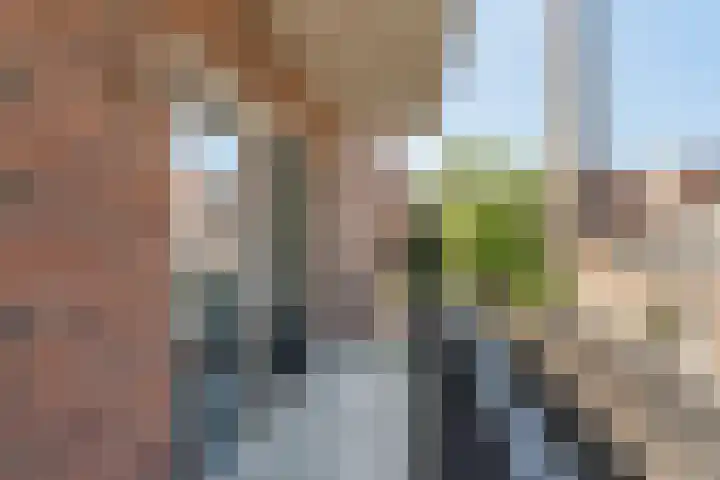 Nieuwelaan 64 Delft thumbnail 23