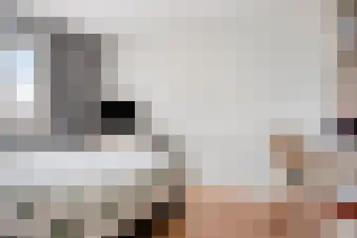 Nieuwemeer 20 Rotterdam thumbnail 23