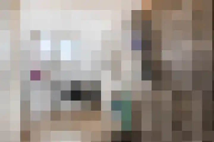Nieuwemeer 20 Rotterdam thumbnail 29