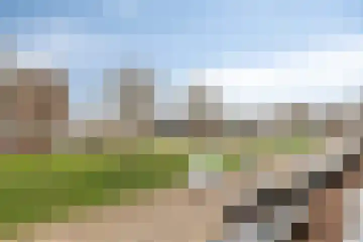 Nieuwemeer 20 Rotterdam thumbnail 34