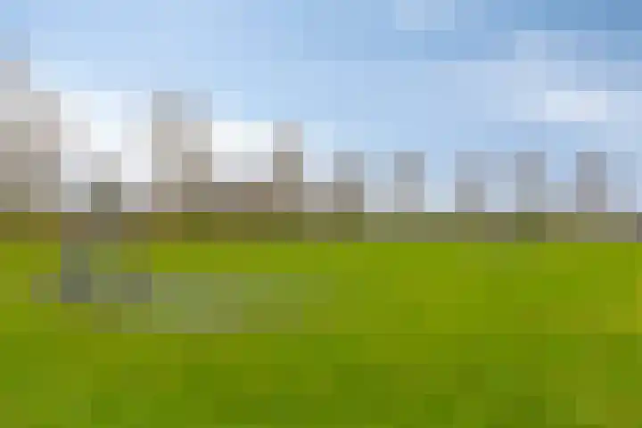 Nieuwemeer 20 Rotterdam thumbnail 36