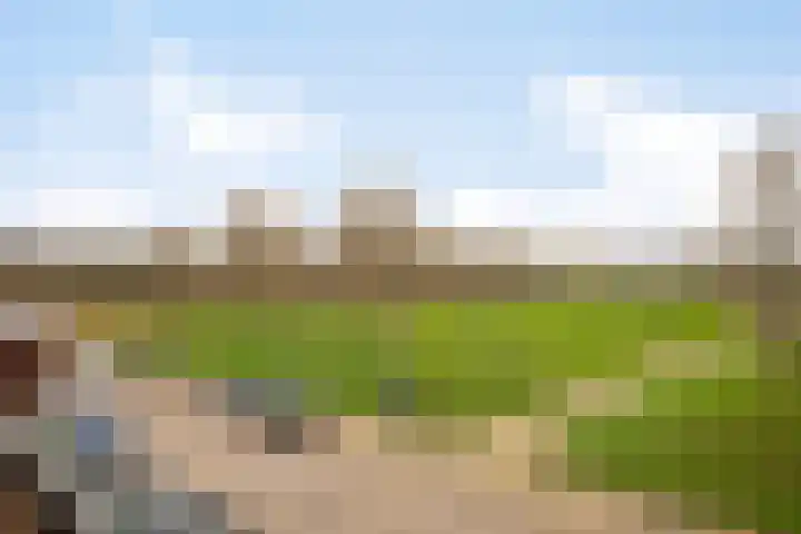 Nieuwemeer 20 Rotterdam thumbnail 37