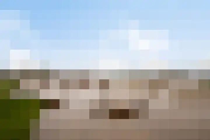 Nieuwemeer 20 Rotterdam thumbnail 50