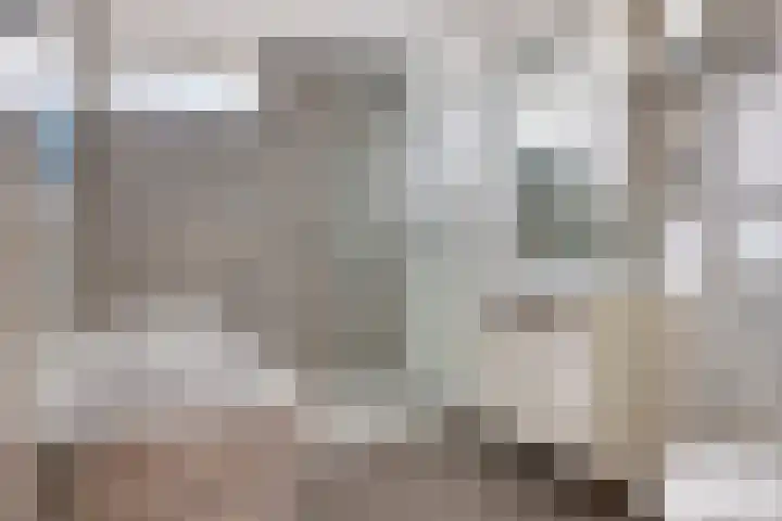 Nieuwemeer 20 Rotterdam thumbnail 8