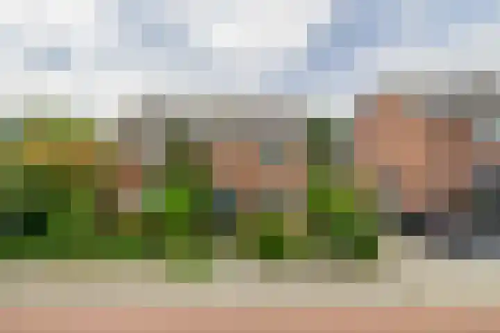 Nieuwemeerdijk 101 Badhoevedorp