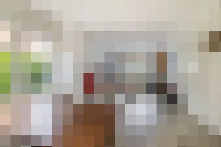 Nieuwemeerdijk 101 Badhoevedorp thumbnail 11