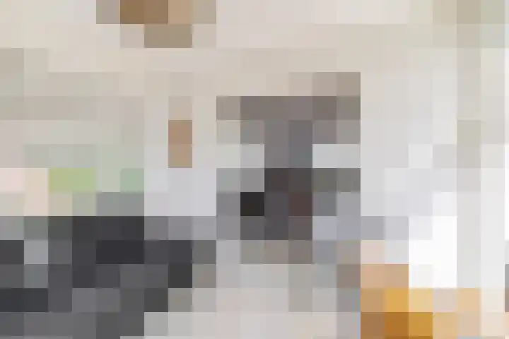Nieuwemeerdijk 101 Badhoevedorp thumbnail 13
