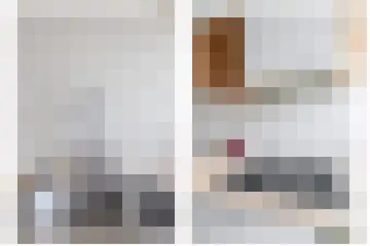 Nieuwemeerdijk 101 Badhoevedorp thumbnail 15