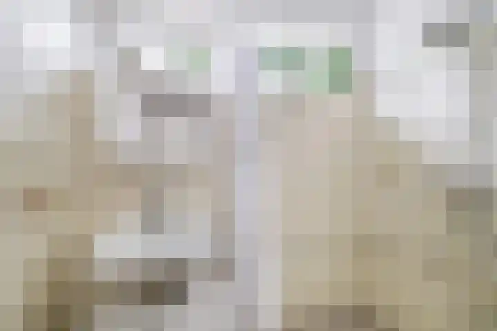 Nieuwemeerdijk 101 Badhoevedorp thumbnail 18