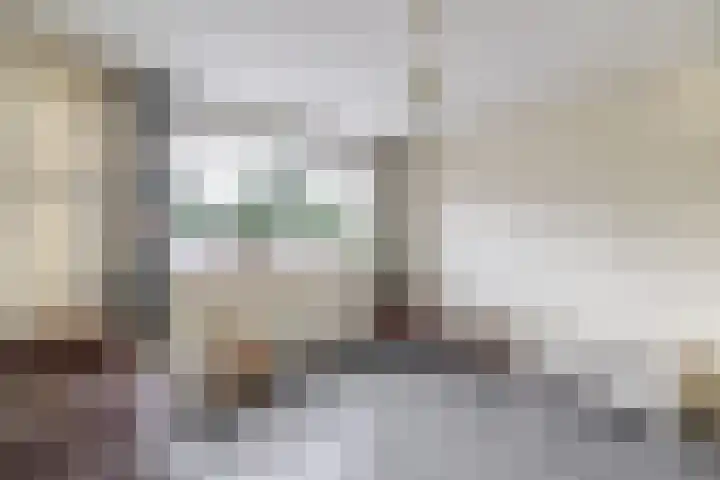 Nieuwemeerdijk 101 Badhoevedorp thumbnail 20