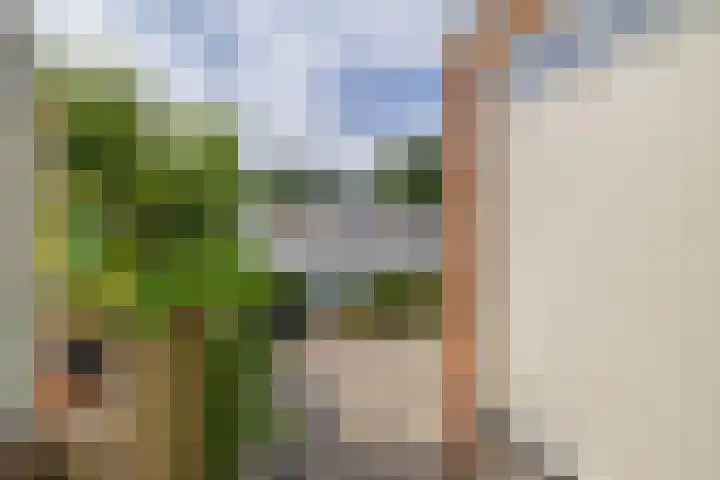 Nieuwemeerdijk 101 Badhoevedorp thumbnail 29