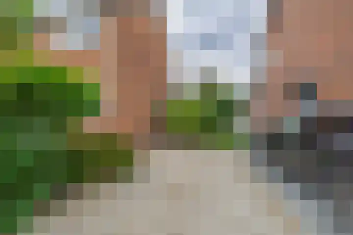 Nieuwemeerdijk 101 Badhoevedorp thumbnail 31