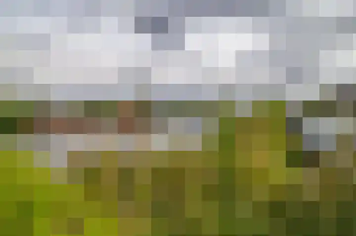 Nieuwemeerdijk 101 Badhoevedorp thumbnail 32
