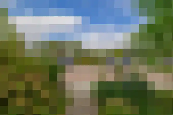 Nieuwemeerdijk 101 Badhoevedorp thumbnail 33