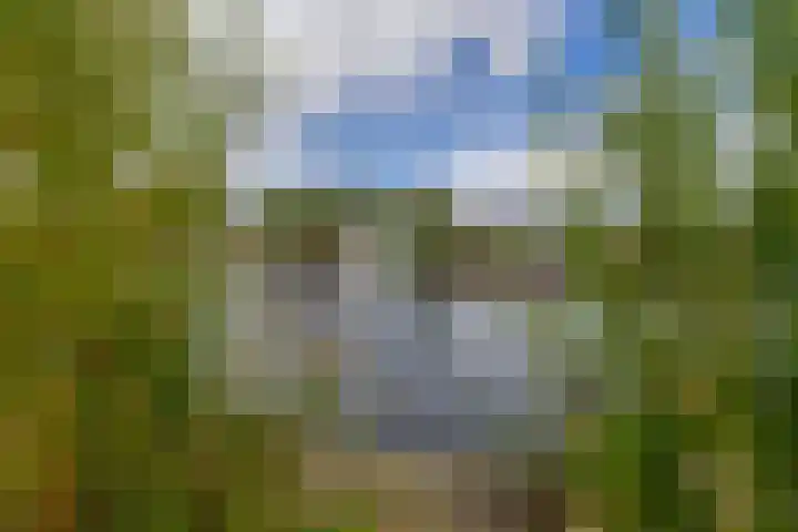Nieuwemeerdijk 101 Badhoevedorp thumbnail 34