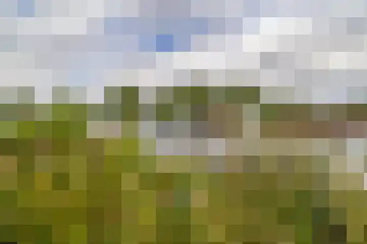 Nieuwemeerdijk 101 Badhoevedorp thumbnail 35