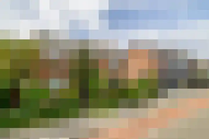Nieuwemeerdijk 101 Badhoevedorp thumbnail 37