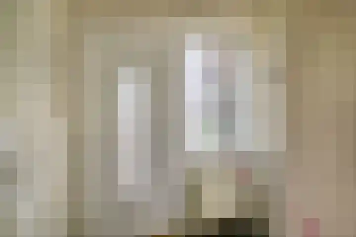 Nieuwemeerdijk 101 Badhoevedorp thumbnail 4