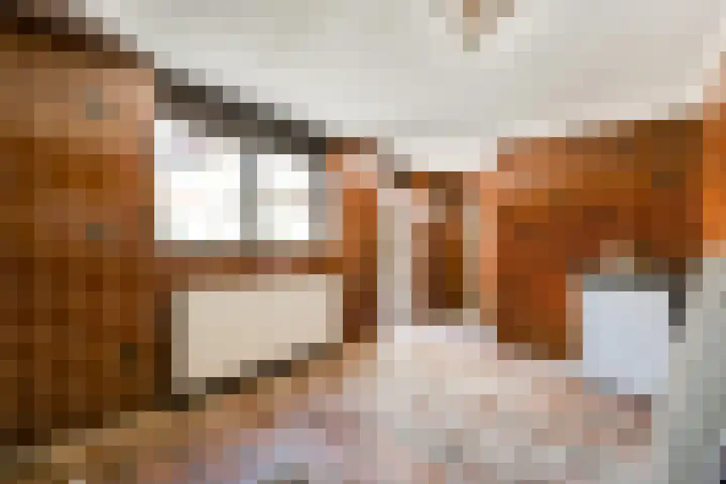 Nieuwemeerdijk 122 Badhoevedorp thumbnail 11