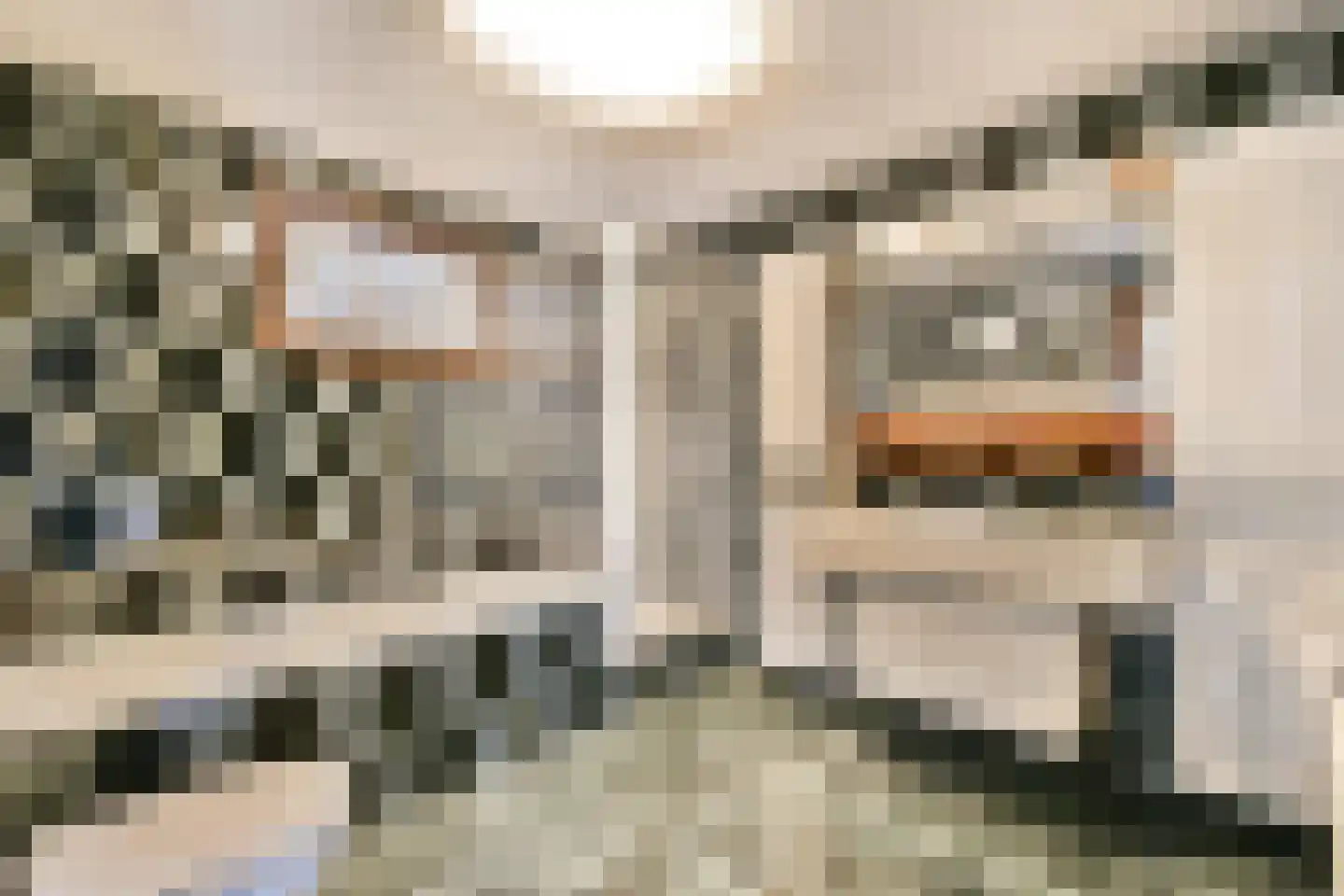 Nieuwemeerdijk 122 Badhoevedorp thumbnail 16