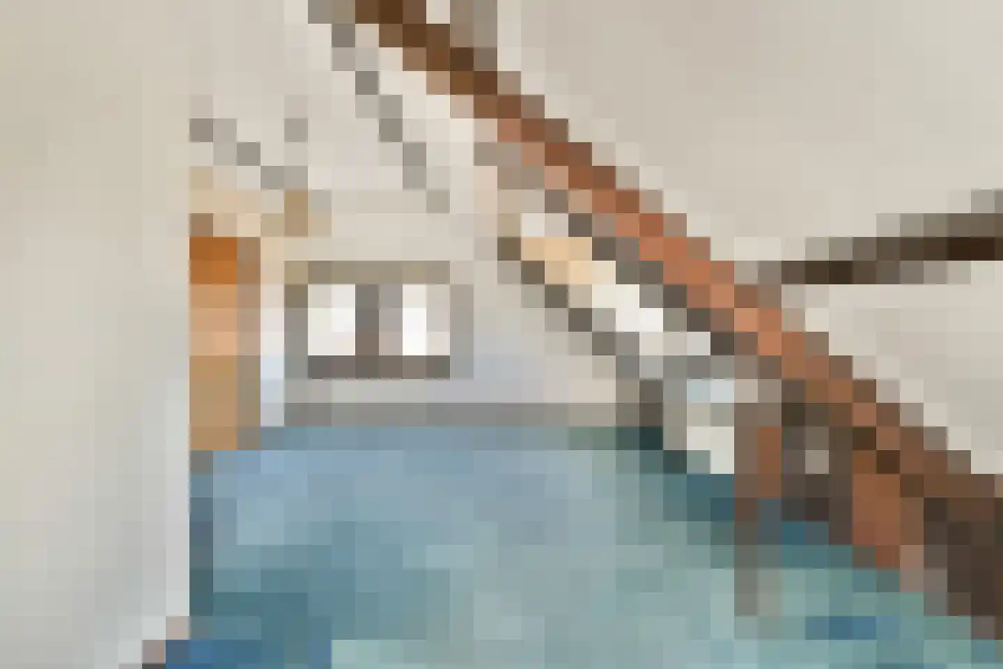 Nieuwemeerdijk 122 Badhoevedorp thumbnail 24