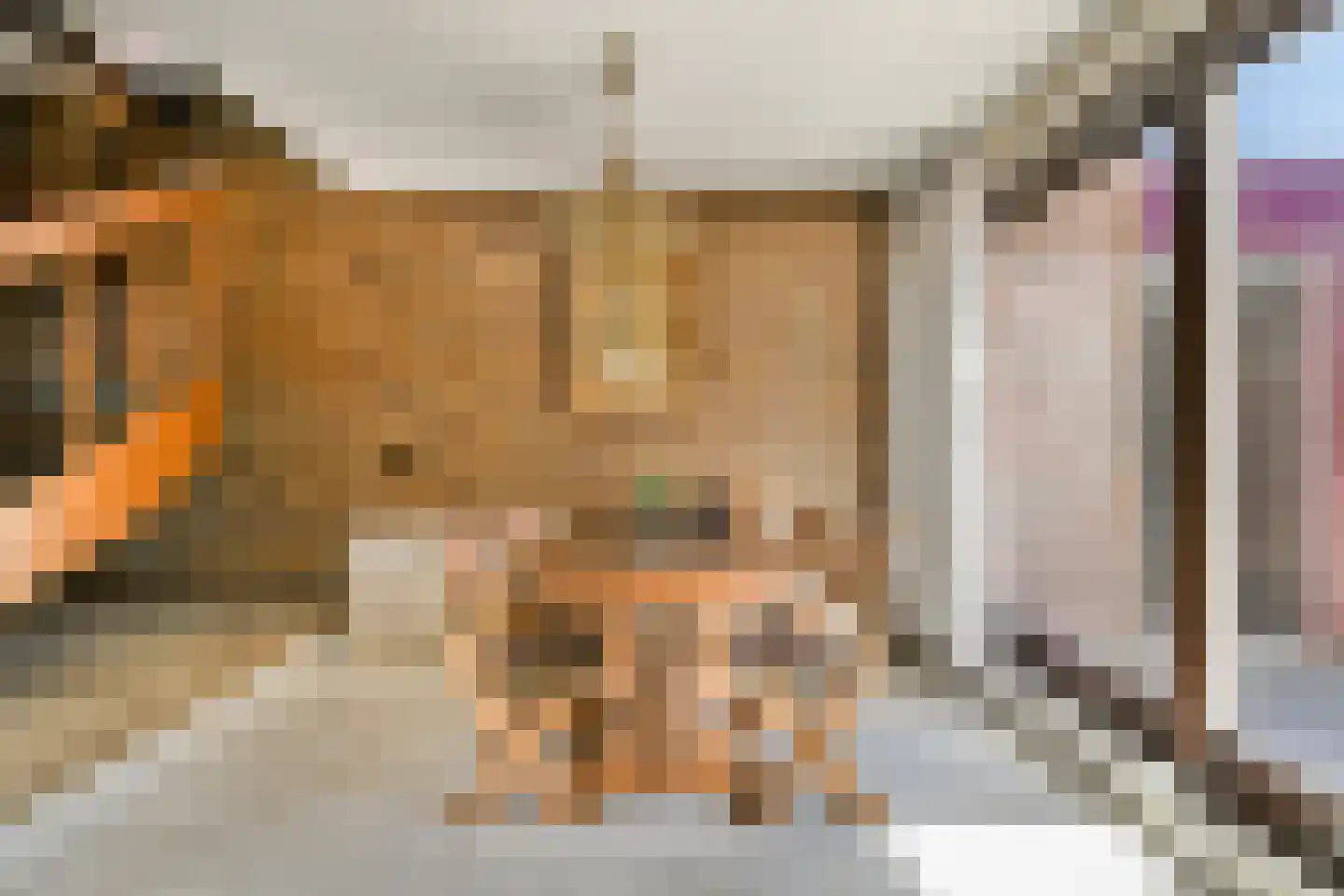 Nieuwemeerdijk 122 Badhoevedorp thumbnail 6