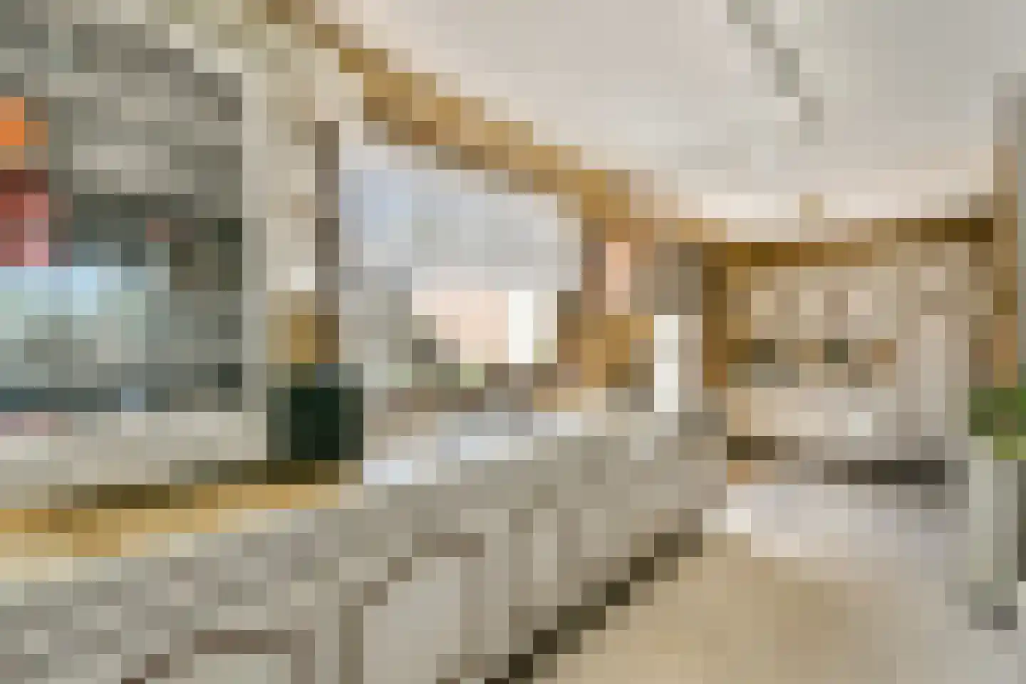 Nieuwemeerdijk 122 Badhoevedorp thumbnail 8