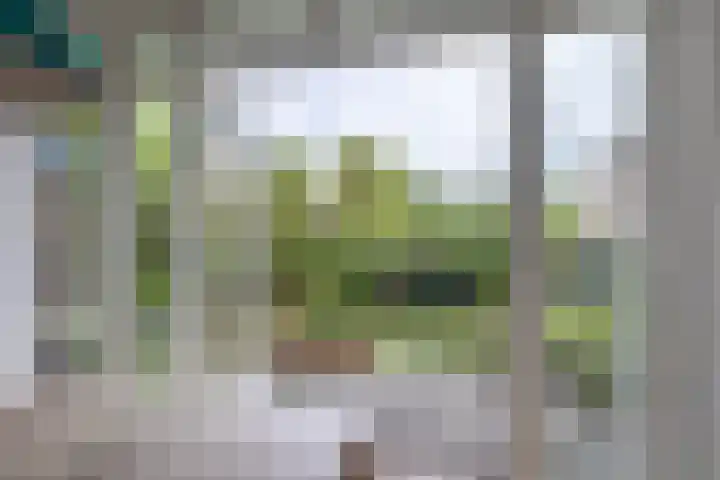 Nieuwemeerdijk 13 Badhoevedorp thumbnail 13