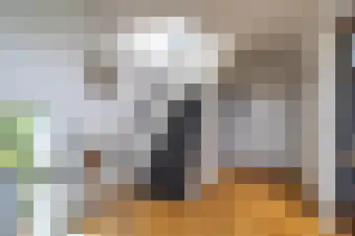 Nieuwemeerdijk 13 Badhoevedorp thumbnail 23