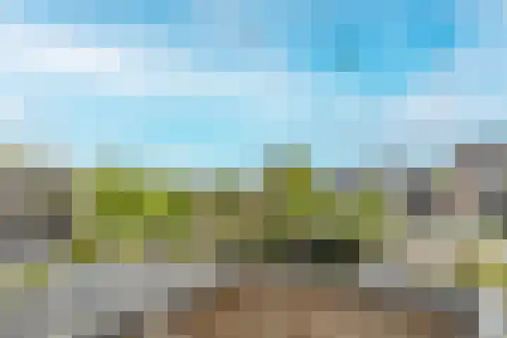 Nieuwemeerdijk 13 Badhoevedorp thumbnail 25
