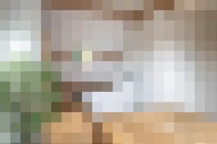 Nieuwemeerdijk 13 Badhoevedorp thumbnail 41