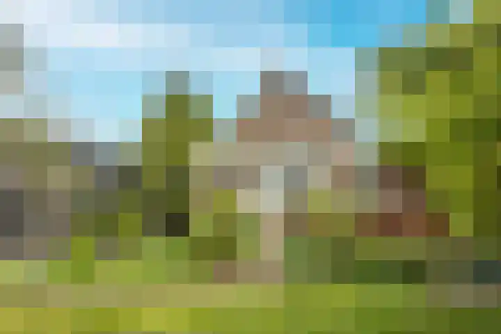 Nieuwemeerdijk 13 Badhoevedorp thumbnail 54