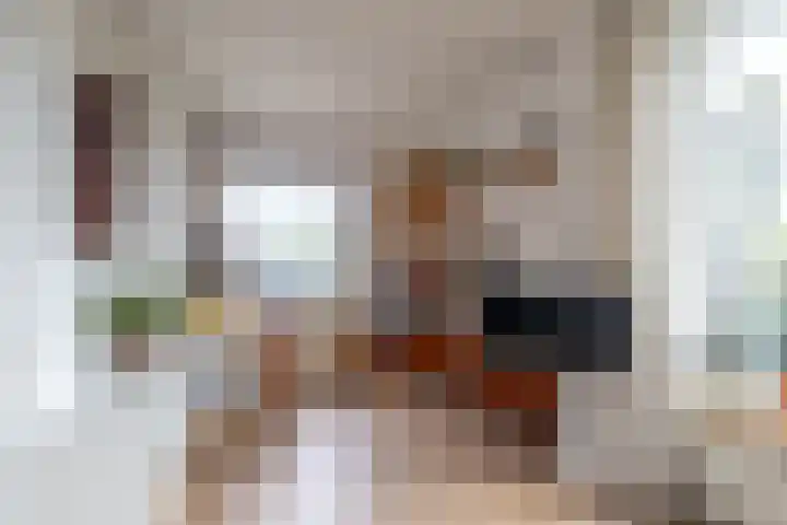 Nieuwemeerdijk 13 Badhoevedorp thumbnail 9