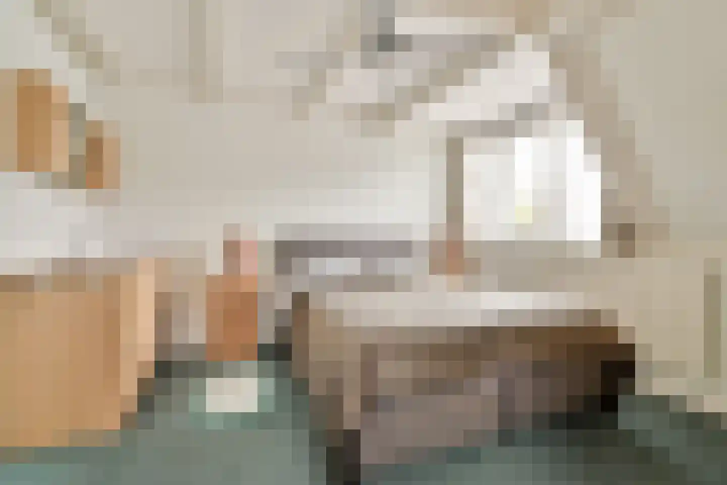 Nieuwemeerdijk 147 Badhoevedorp thumbnail 11