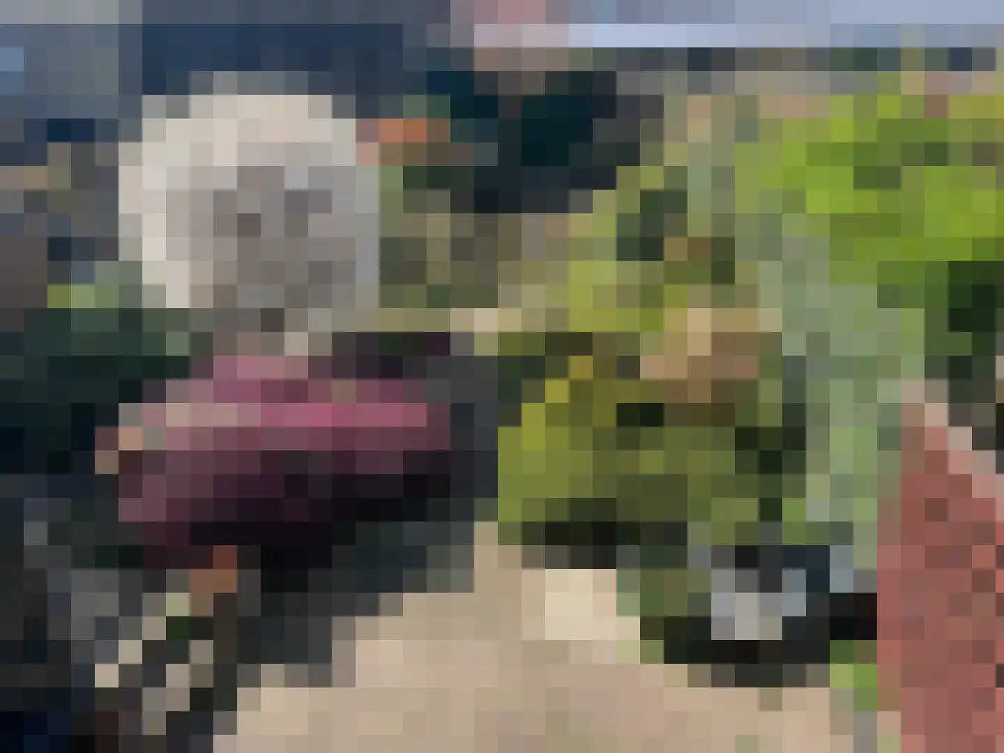 Nieuwemeerdijk 147 Badhoevedorp thumbnail 19