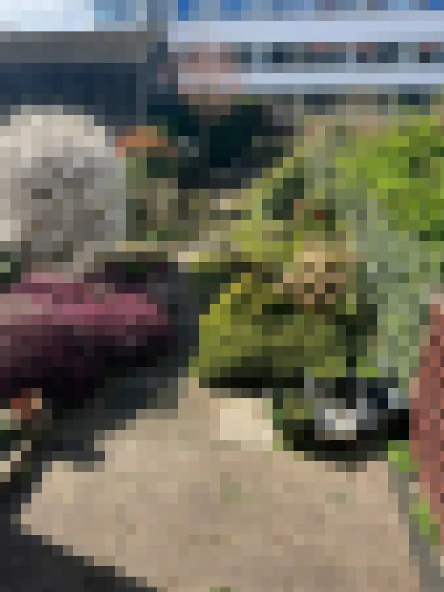 Nieuwemeerdijk 147 Badhoevedorp thumbnail 20