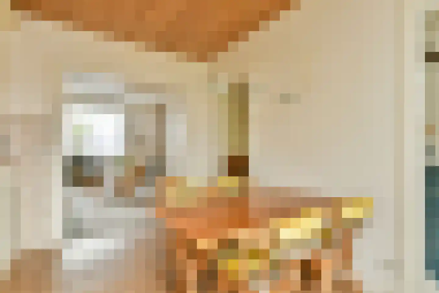 Nieuwemeerdijk 147 Badhoevedorp thumbnail 8